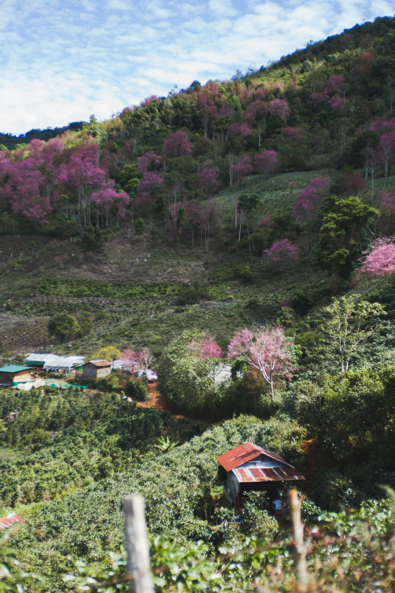 Da Lat, Vietnam